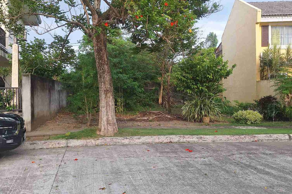 Land for Sale in Jibao-An, Pavia, Iloilo – photo 3