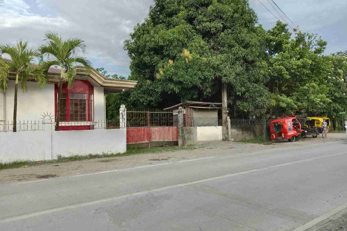 Land for Sale in Jose Rizal Poblacion, Butuan, Agusan del Norte – photo 2