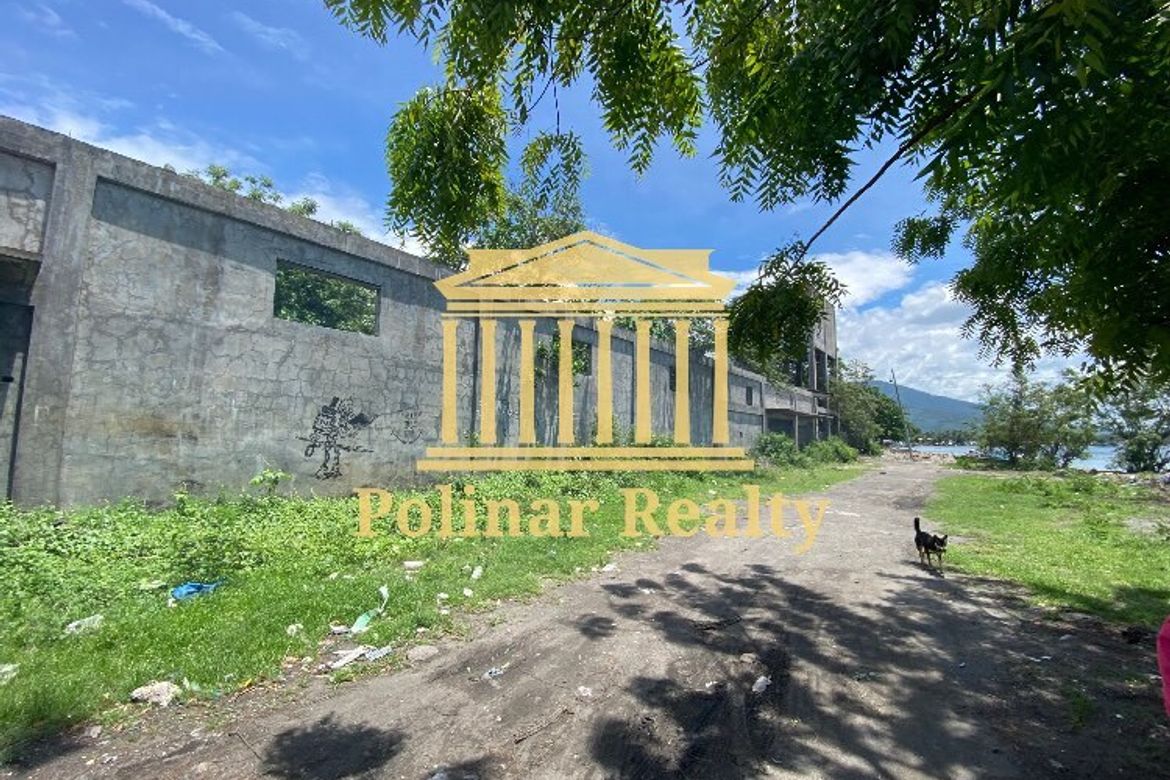 Land for Sale in Jose Rizal, Santa Cruz, Davao del Sur – photo 2