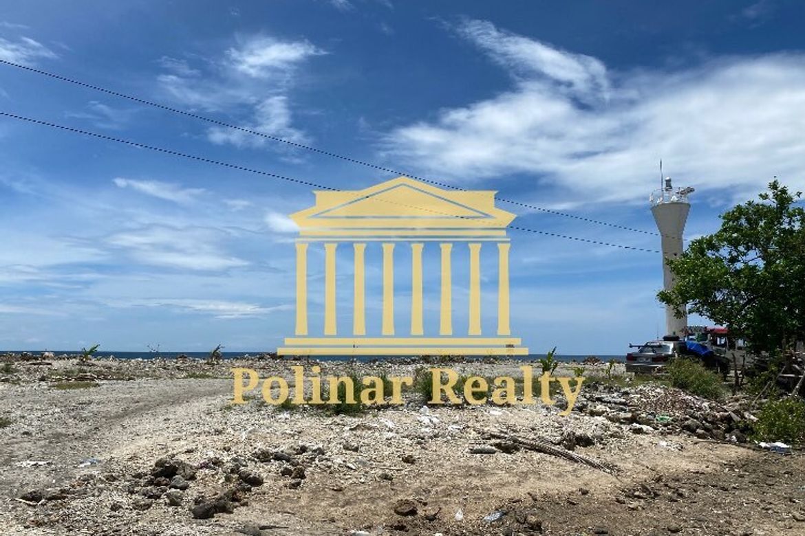 Land for Sale in Jose Rizal, Santa Cruz, Davao del Sur – photo 5