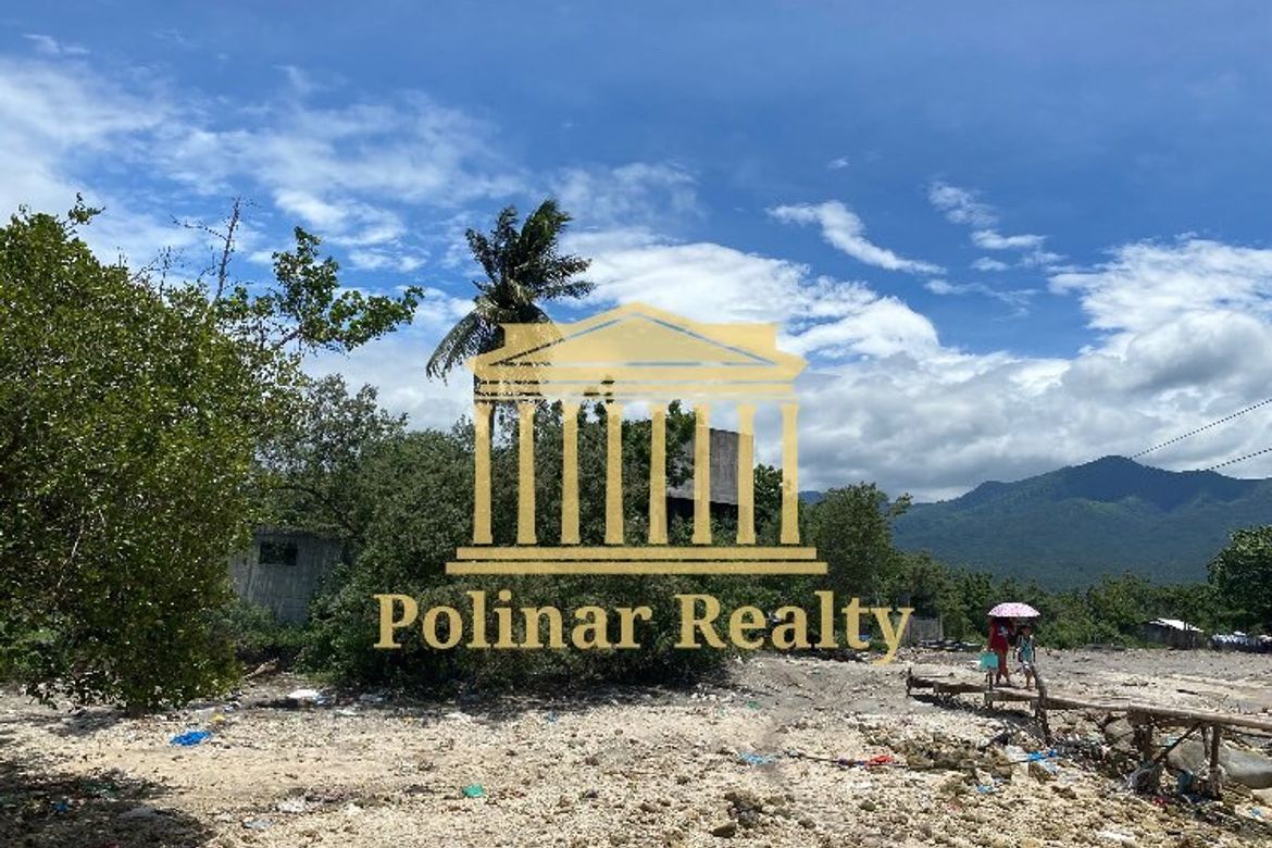 Land for Sale in Jose Rizal, Santa Cruz, Davao del Sur – photo 7