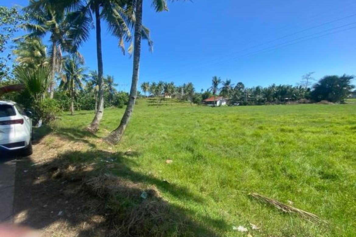 Land for Sale in Jubay, Liloan, Cebu – photo 5