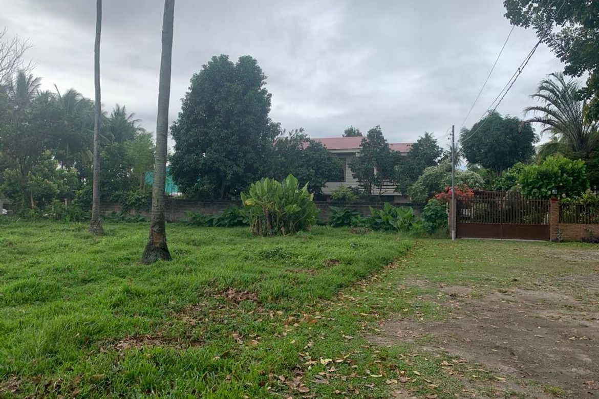 Land for Sale in Junob, Dumaguete, Negros Oriental – photo 2