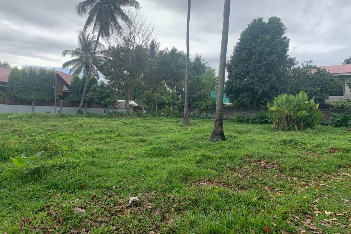Land for Sale in Junob, Dumaguete, Negros Oriental – photo 3