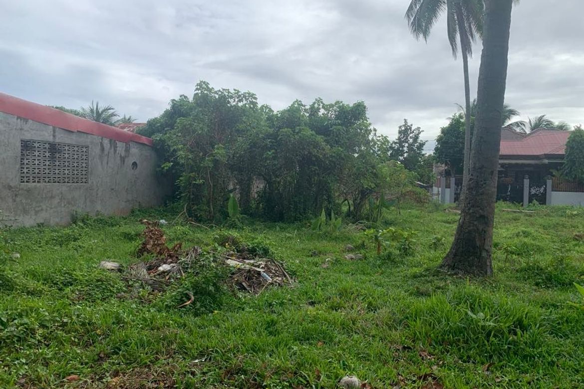 Land for Sale in Junob, Dumaguete, Negros Oriental – photo 4