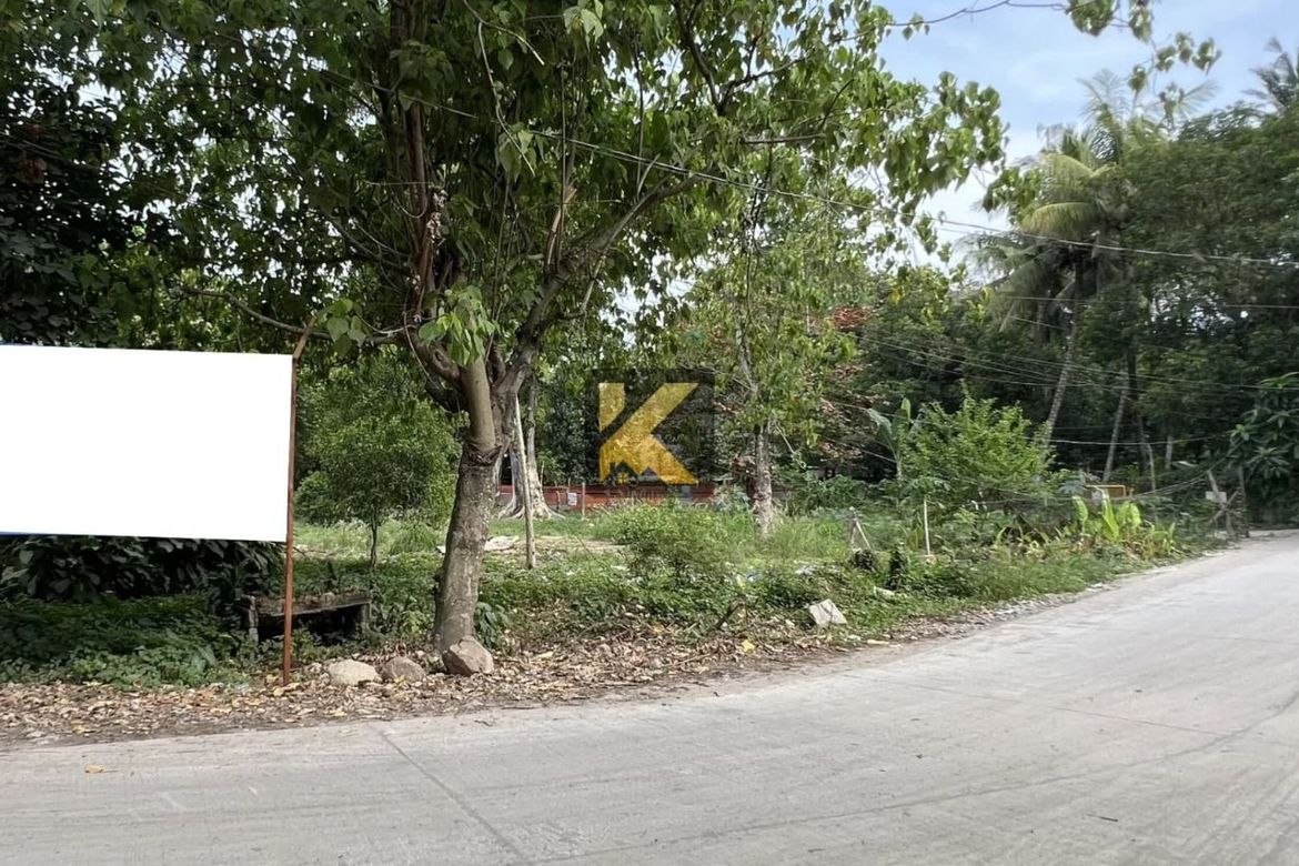 Land for Sale in Junob, Dumaguete, Negros Oriental – photo 4