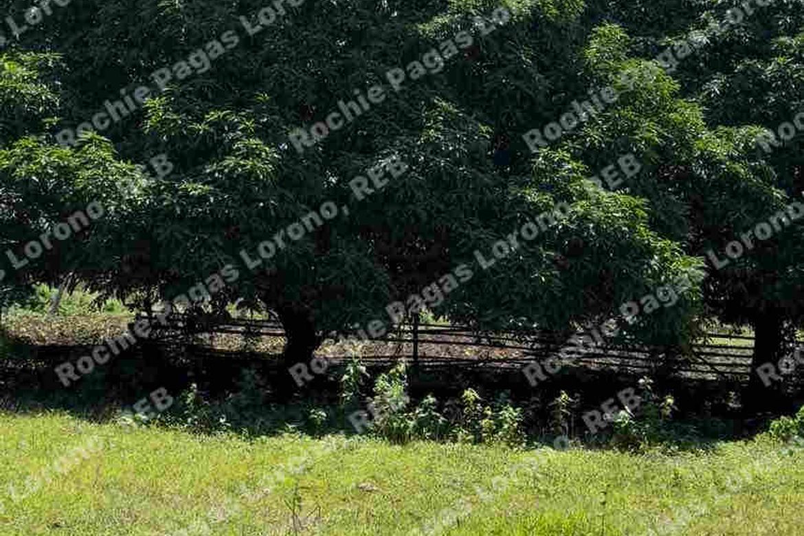 Land for Sale in Kalabaylabay, El Salvador, Misamis Oriental – photo 2