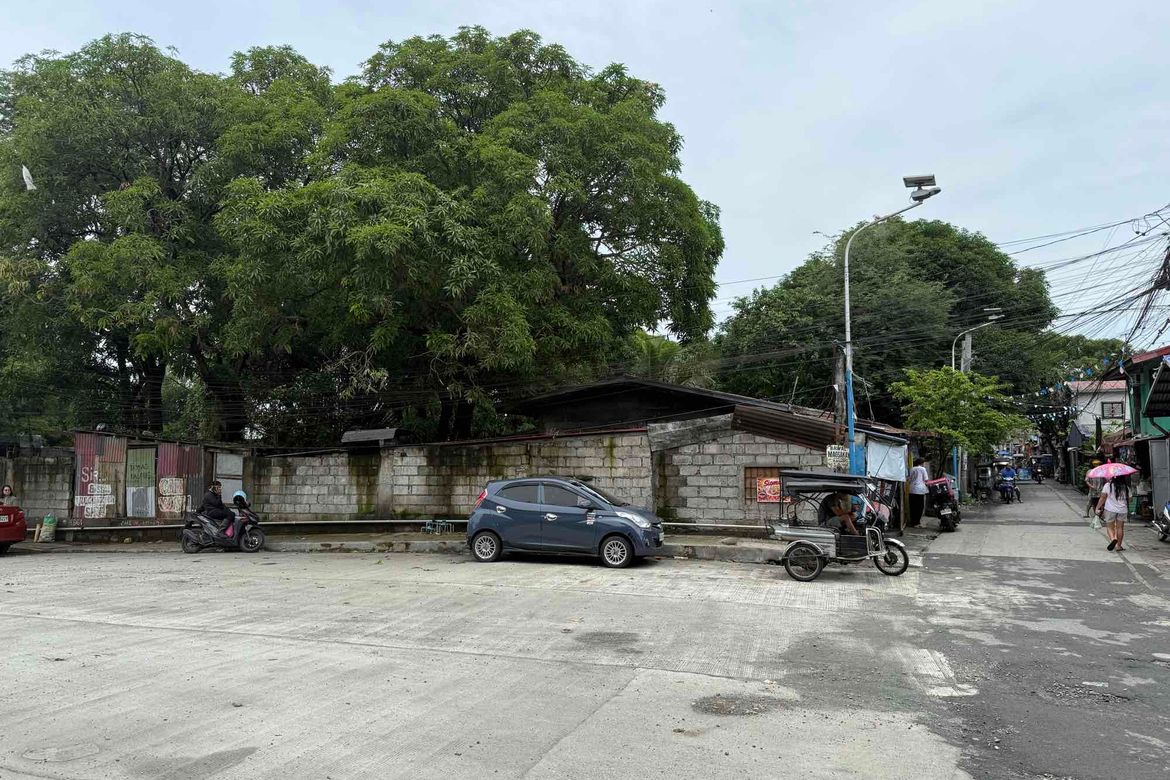 Land for Sale in Kalawaan, Binangonan, Rizal – photo 3