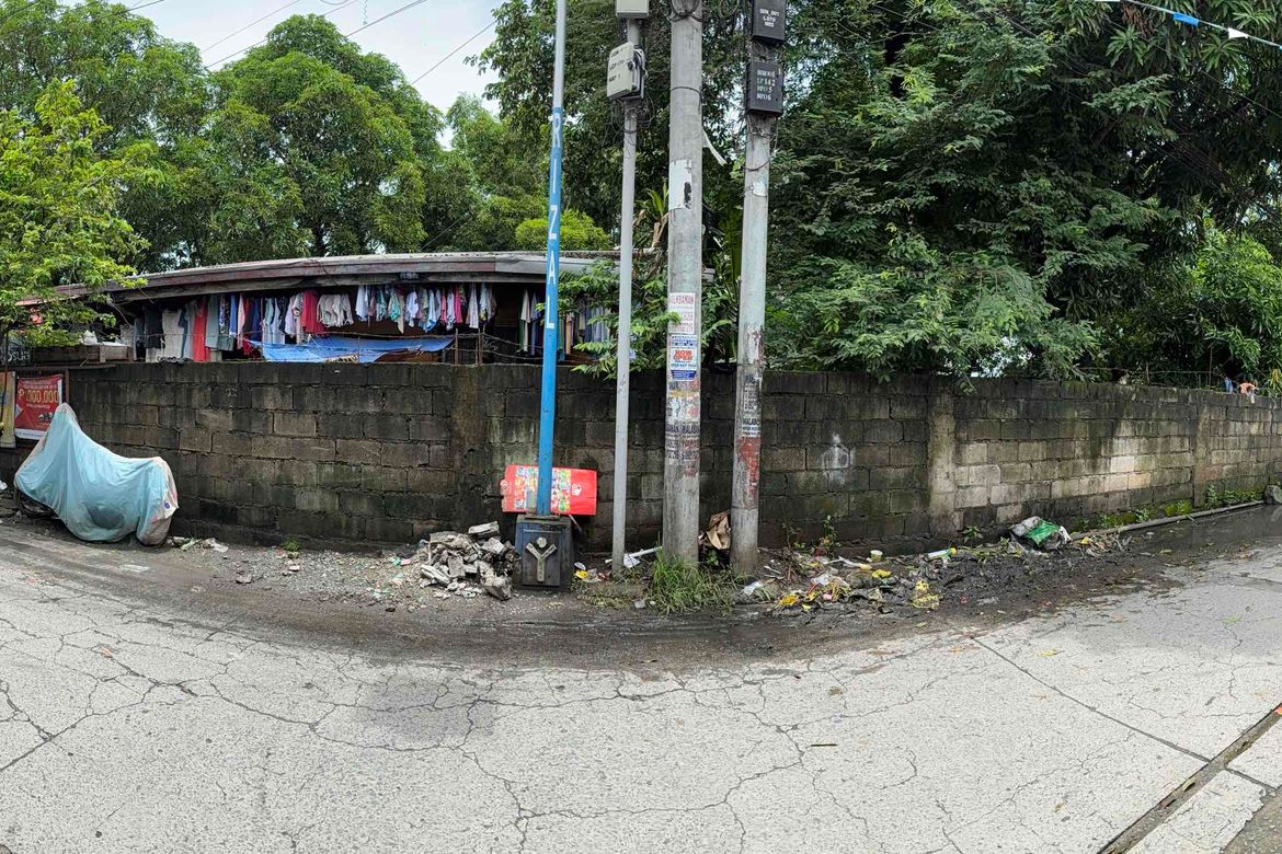 Land for Sale in Kalawaan, Binangonan, Rizal – photo 4