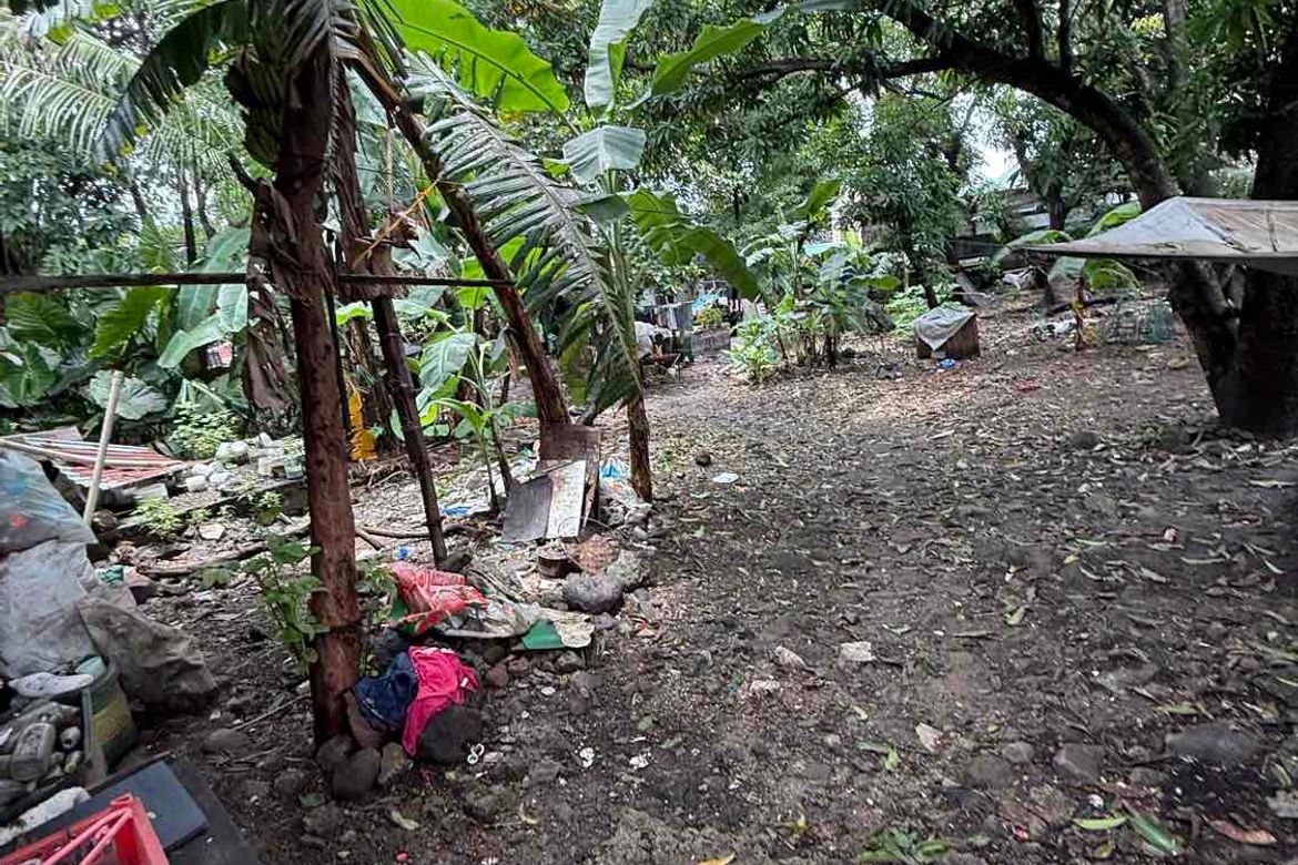 Land for Sale in Kalawaan, Binangonan, Rizal – photo 7
