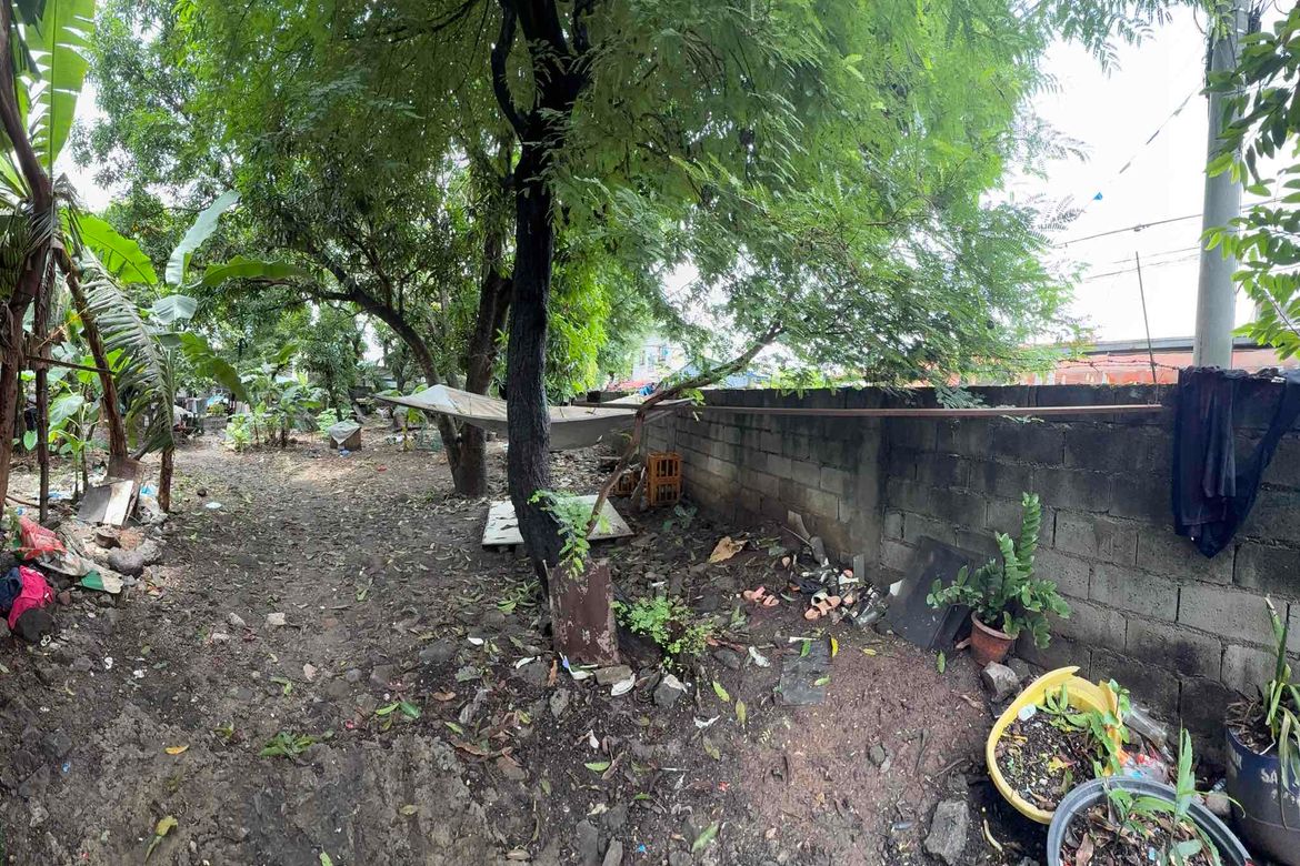 Land for Sale in Kalawaan, Binangonan, Rizal – photo 8