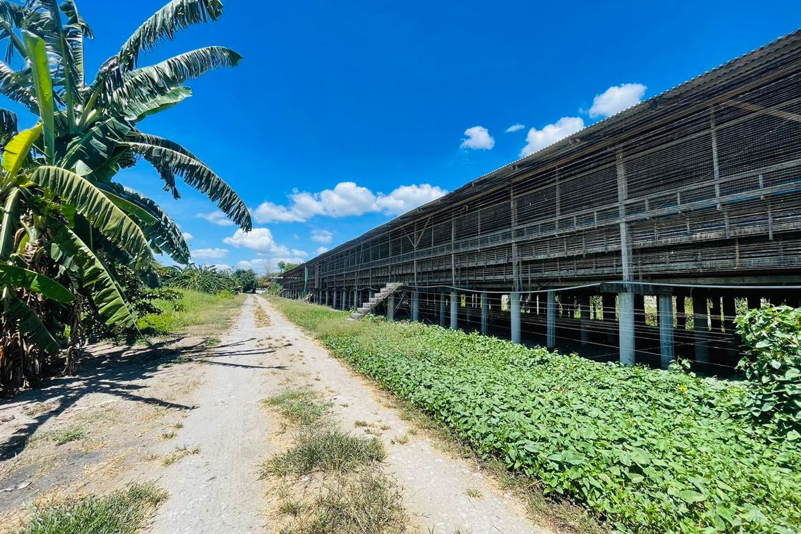 Land for Sale in Kaledian, Arayat, Pampanga