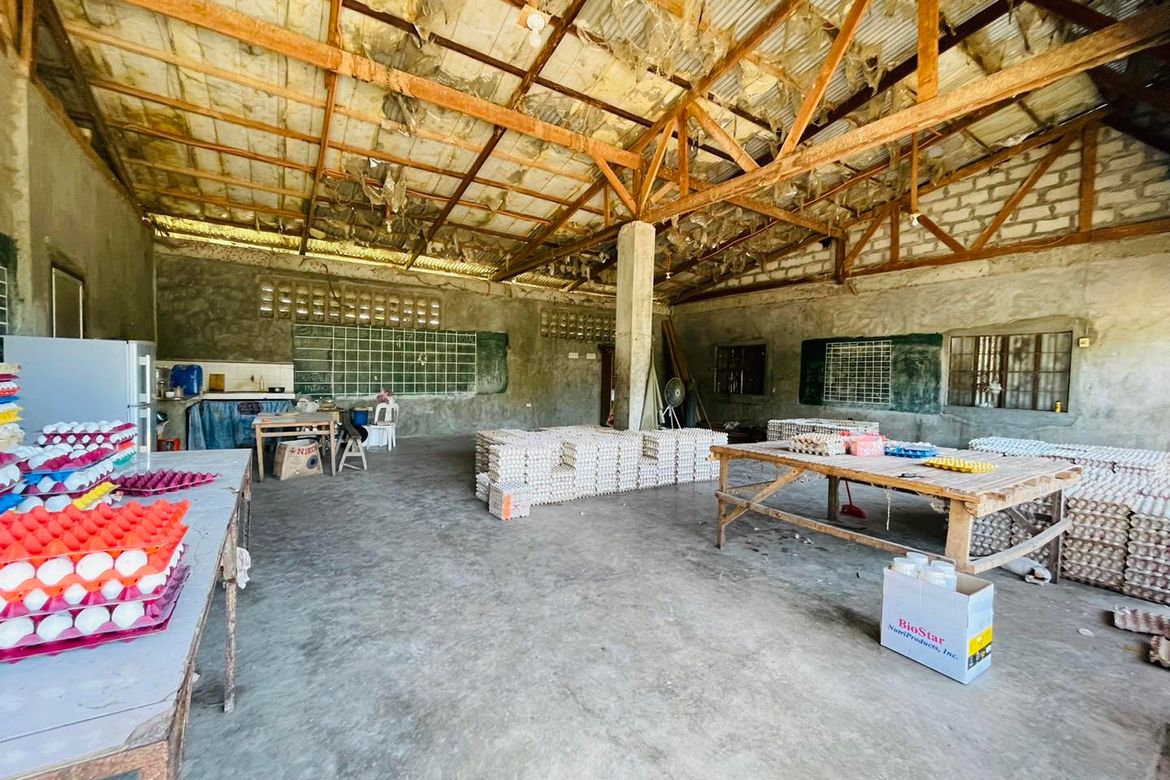 Land for Sale in Kaledian, Arayat, Pampanga – photo 8