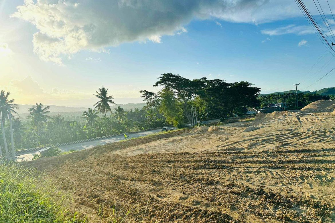 Land for Sale in Kalubihan, Barili, Cebu