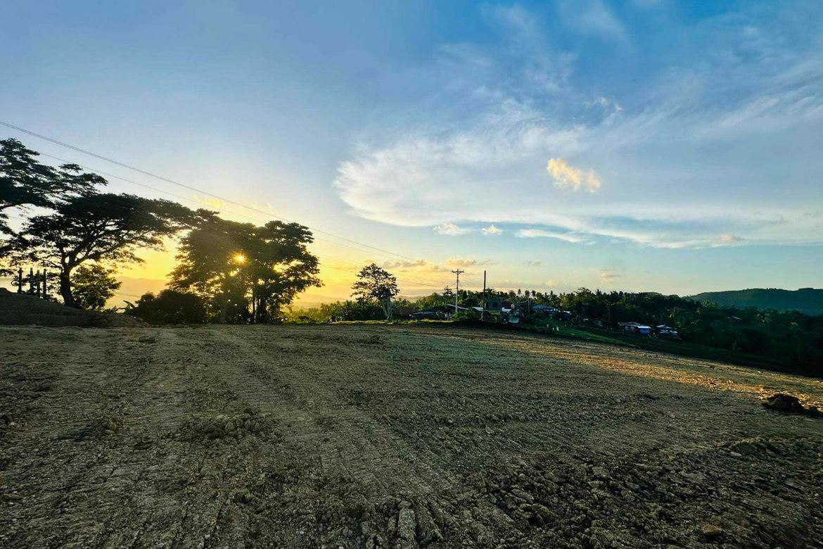Land for Sale in Kalubihan, Barili, Cebu – photo 2