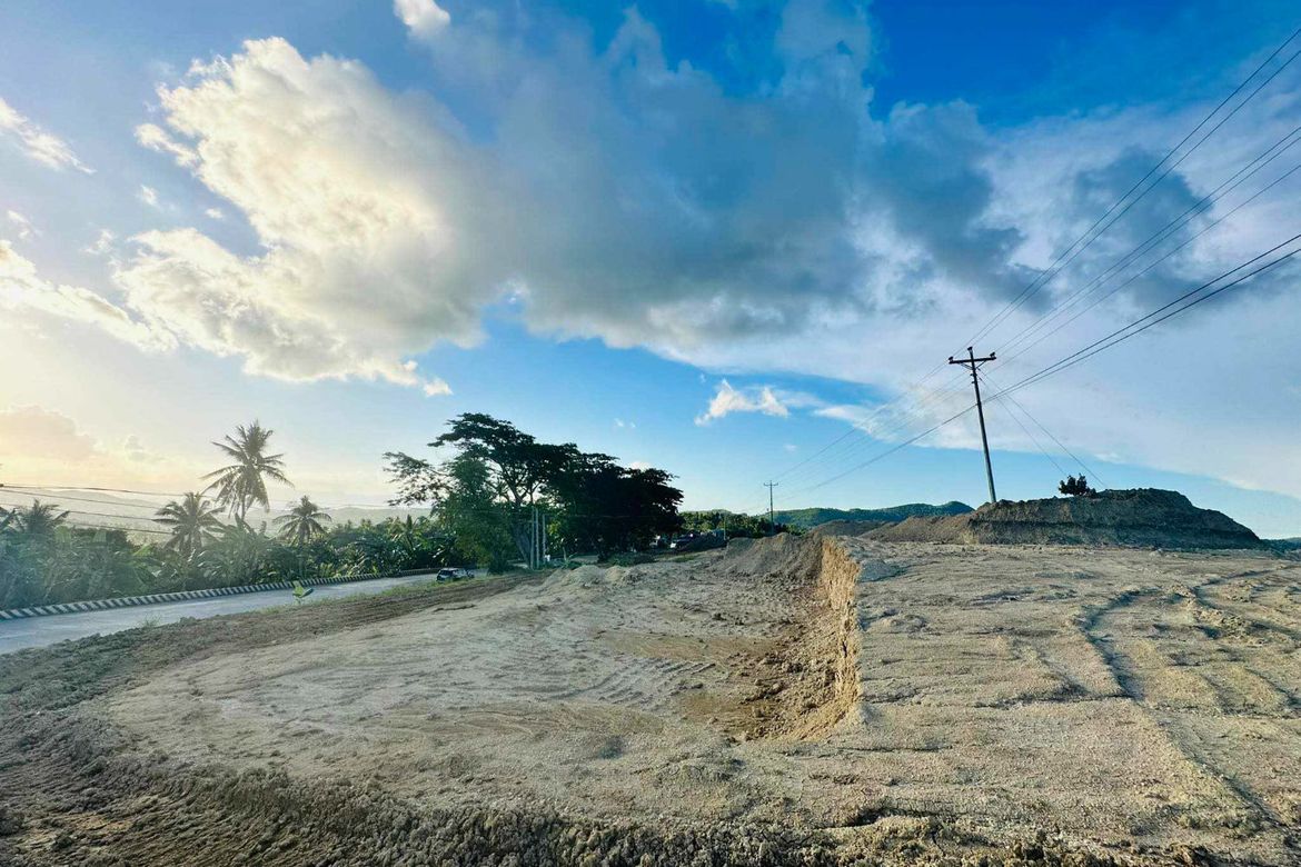 Land for Sale in Kalubihan, Barili, Cebu – photo 6