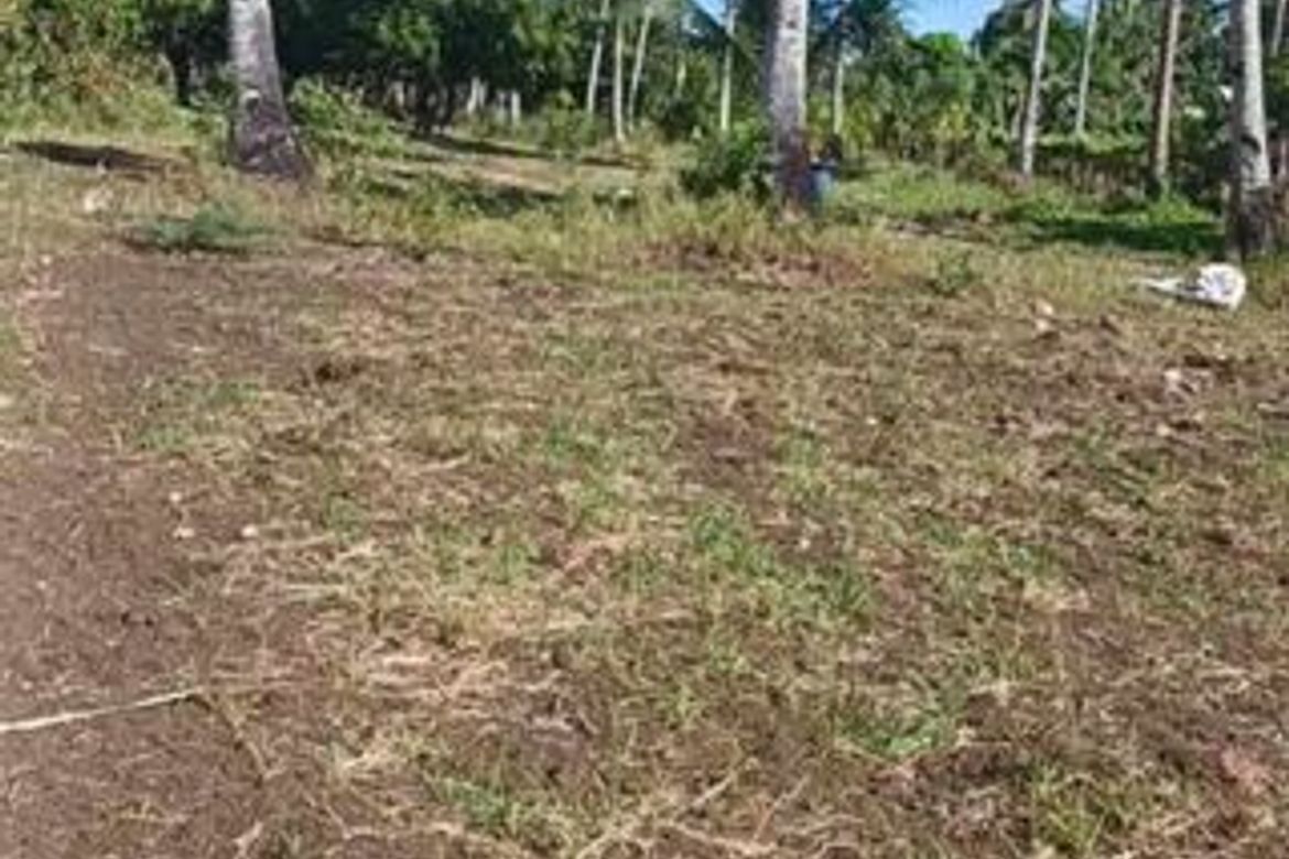 Land for Sale in Kalubihan, Barili, Cebu – photo 4