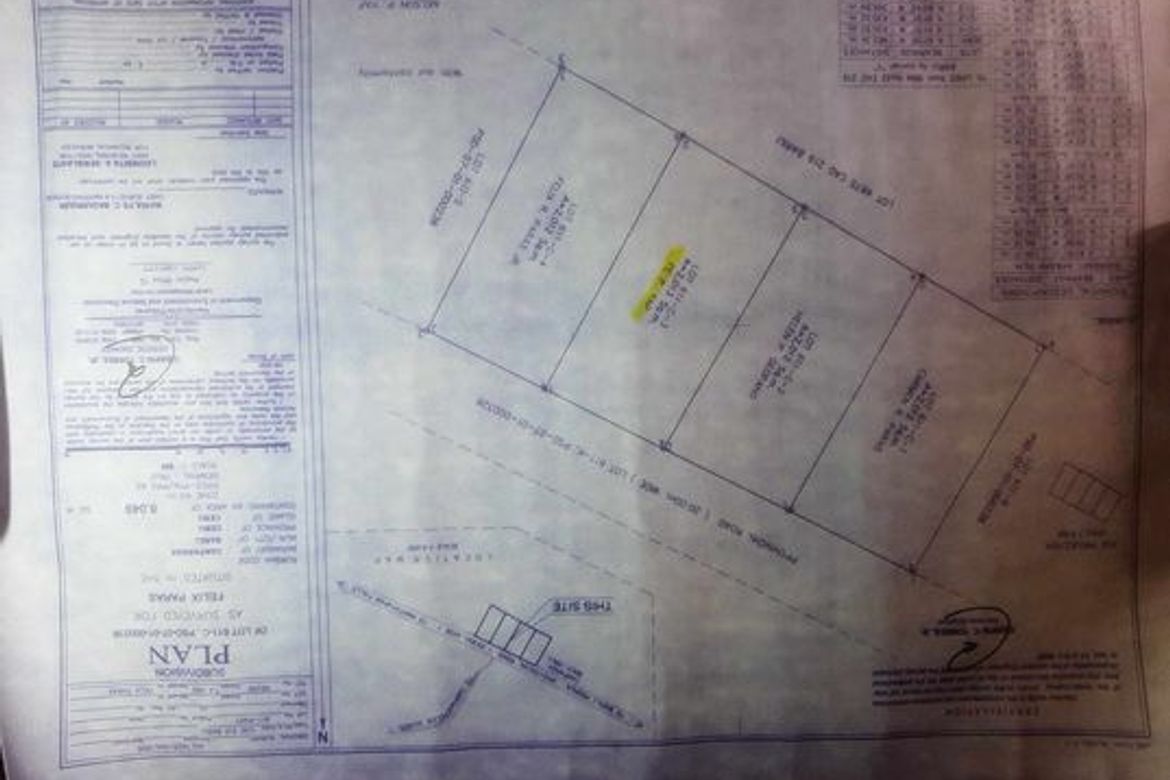 Land for Sale in Kalubihan, Barili, Cebu – photo 5