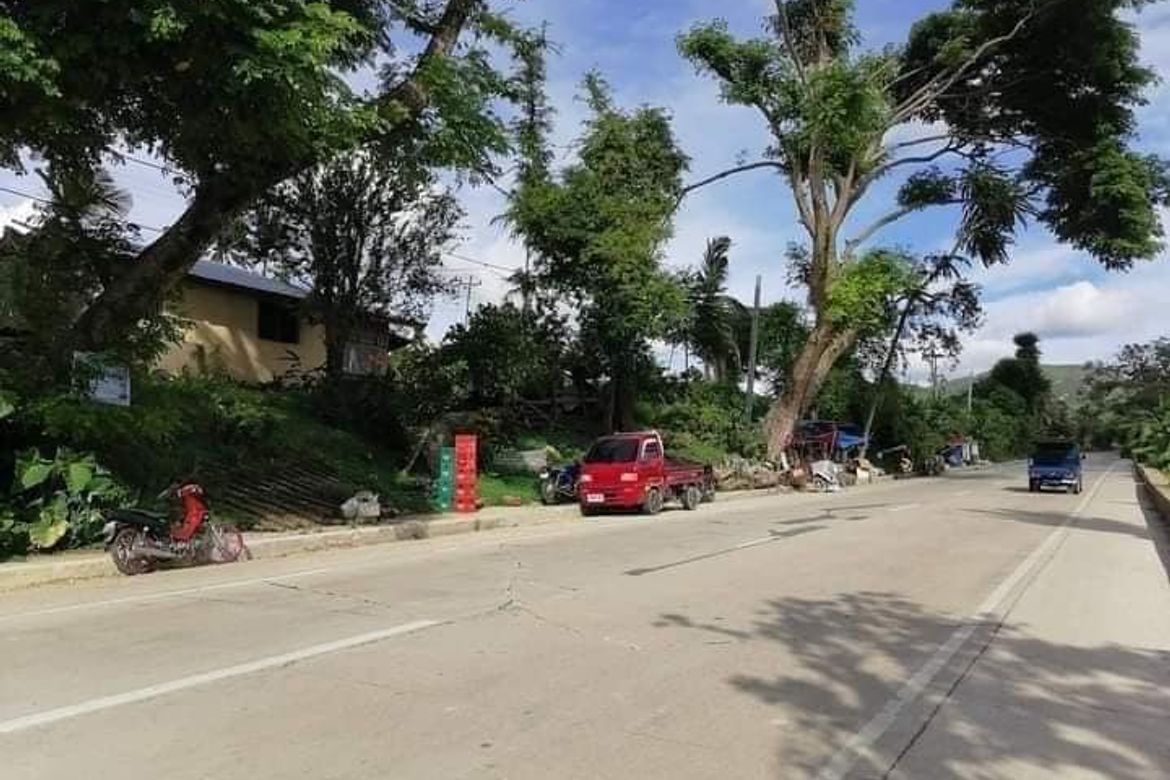 Land for Sale in Kalubihan, Barili, Cebu – photo 7