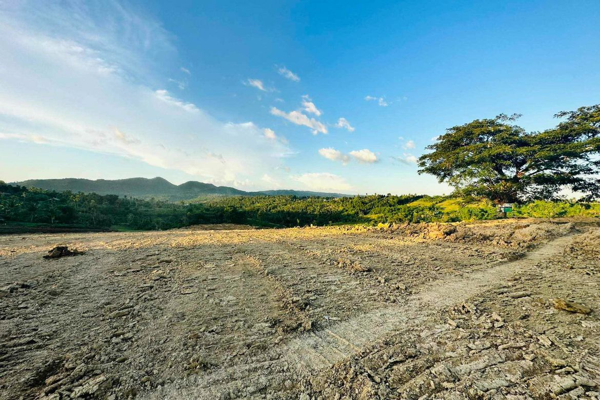 Land for Sale in Kalubihan, Barili, Cebu