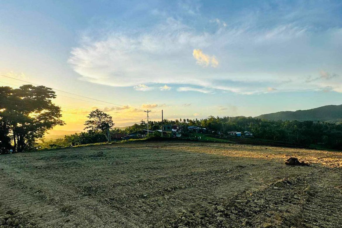 Land for Sale in Kalubihan, Barili, Cebu – photo 5