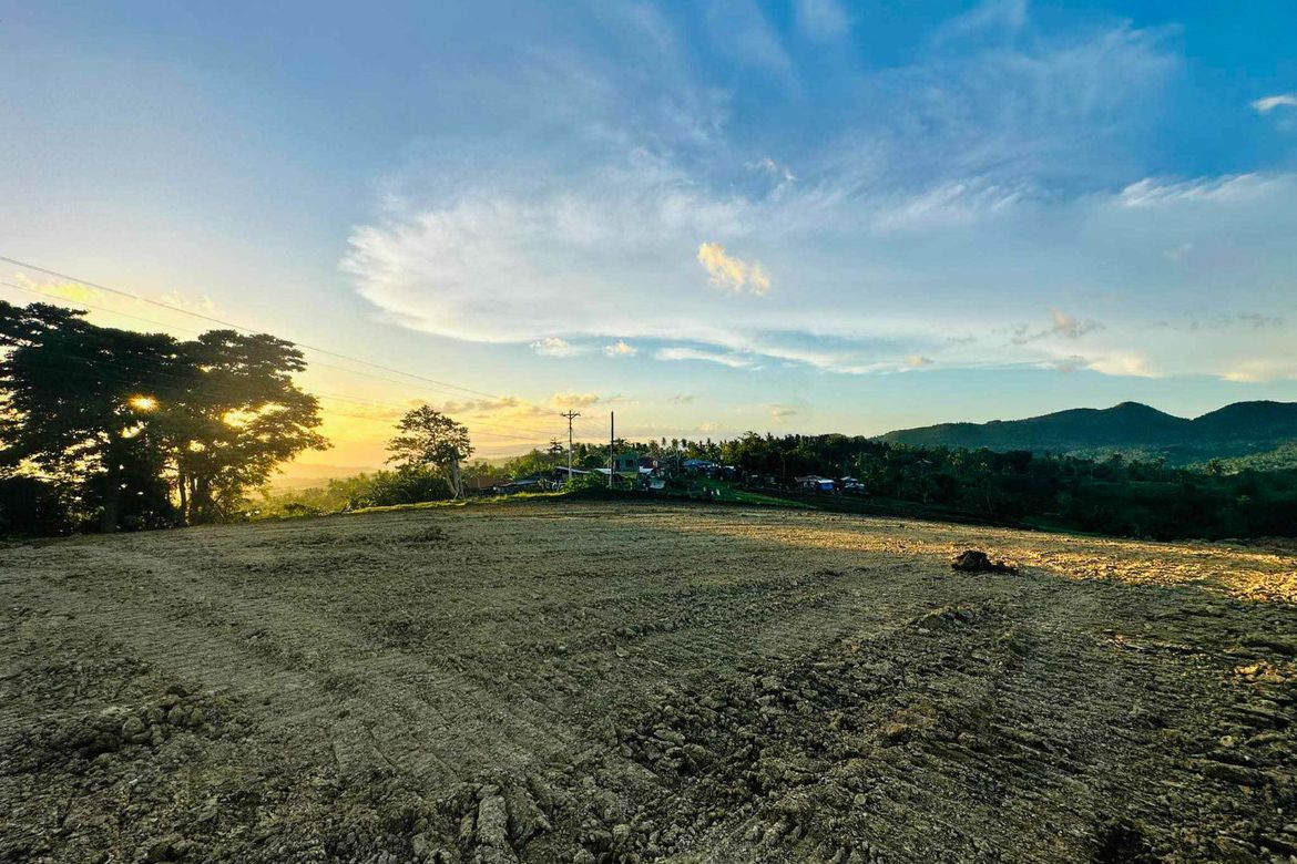 Land for Sale in Kalubihan, Barili, Cebu – photo 8