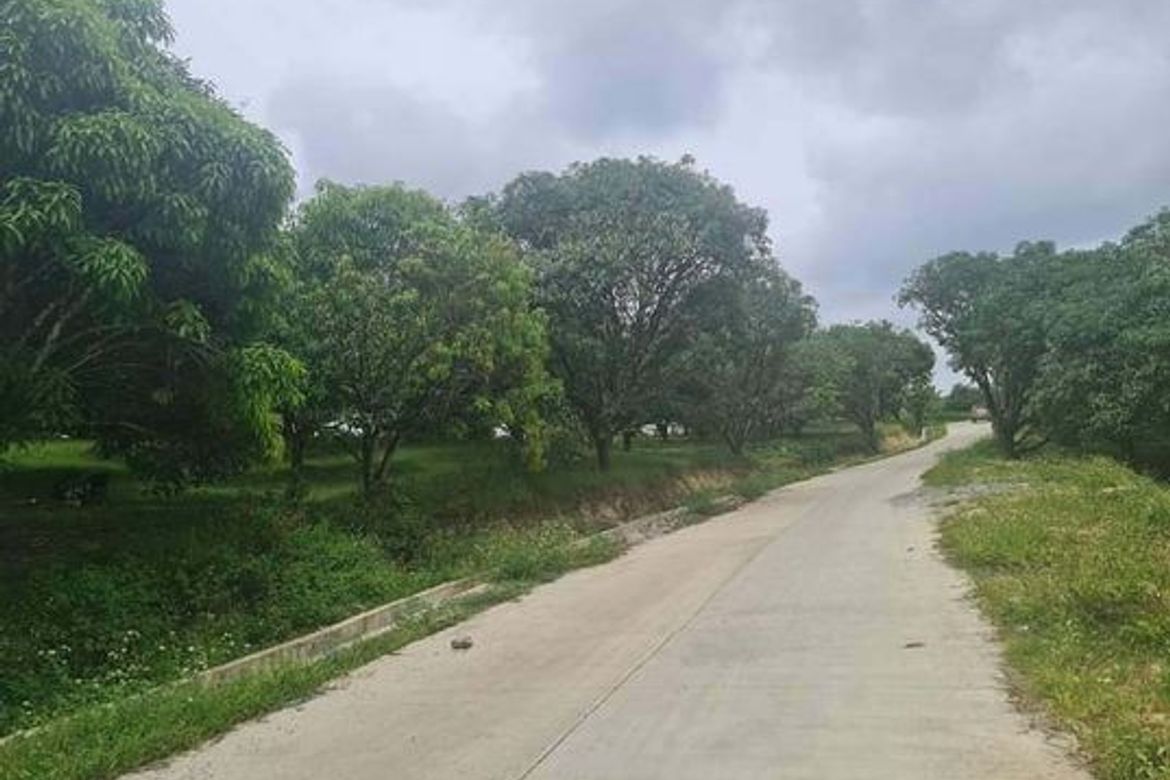 Land for Sale in Kalubihan, Barili, Cebu