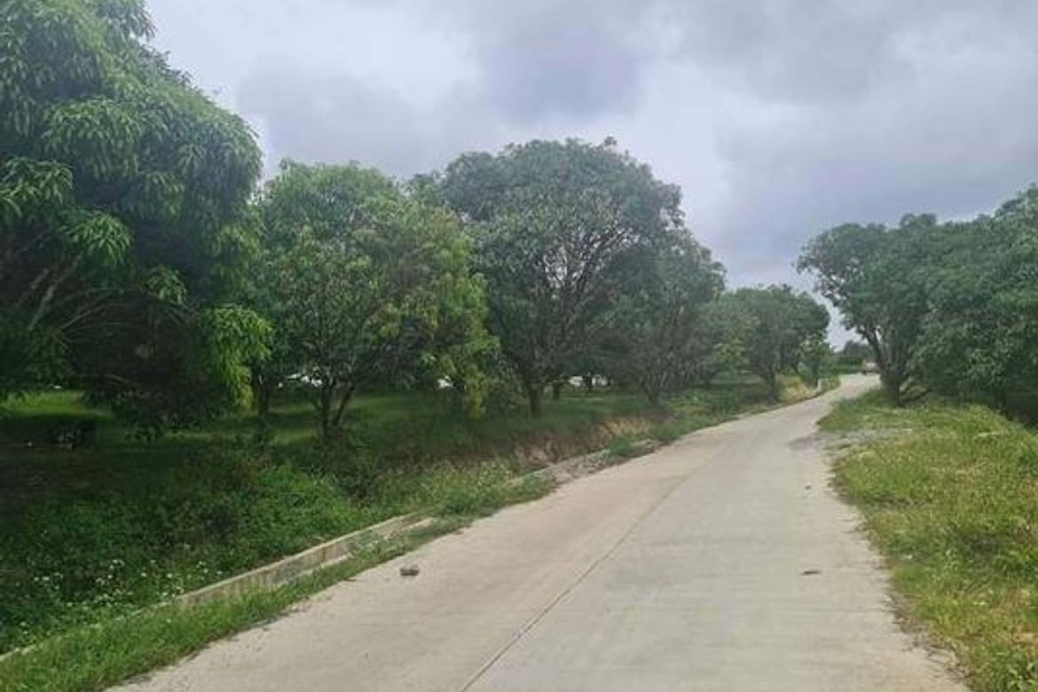 Land for Sale in Kalubihan, Barili, Cebu – photo 2