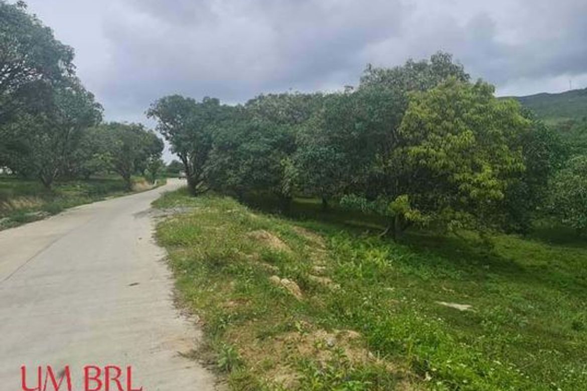 Land for Sale in Kalubihan, Barili, Cebu – photo 4