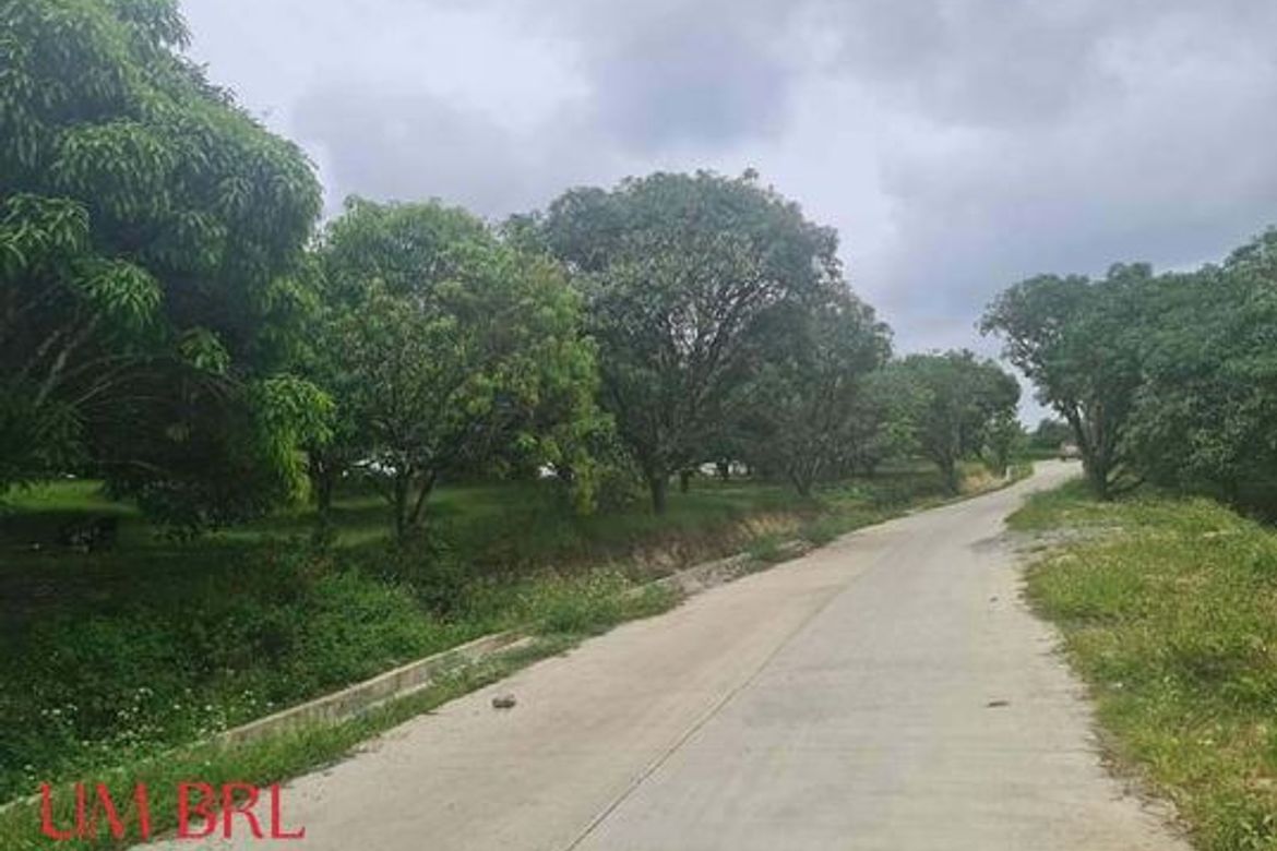 Land for Sale in Kalubihan, Barili, Cebu – photo 5