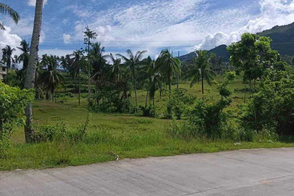 Land for Sale in Kalubihan, Barili, Cebu – photo 3