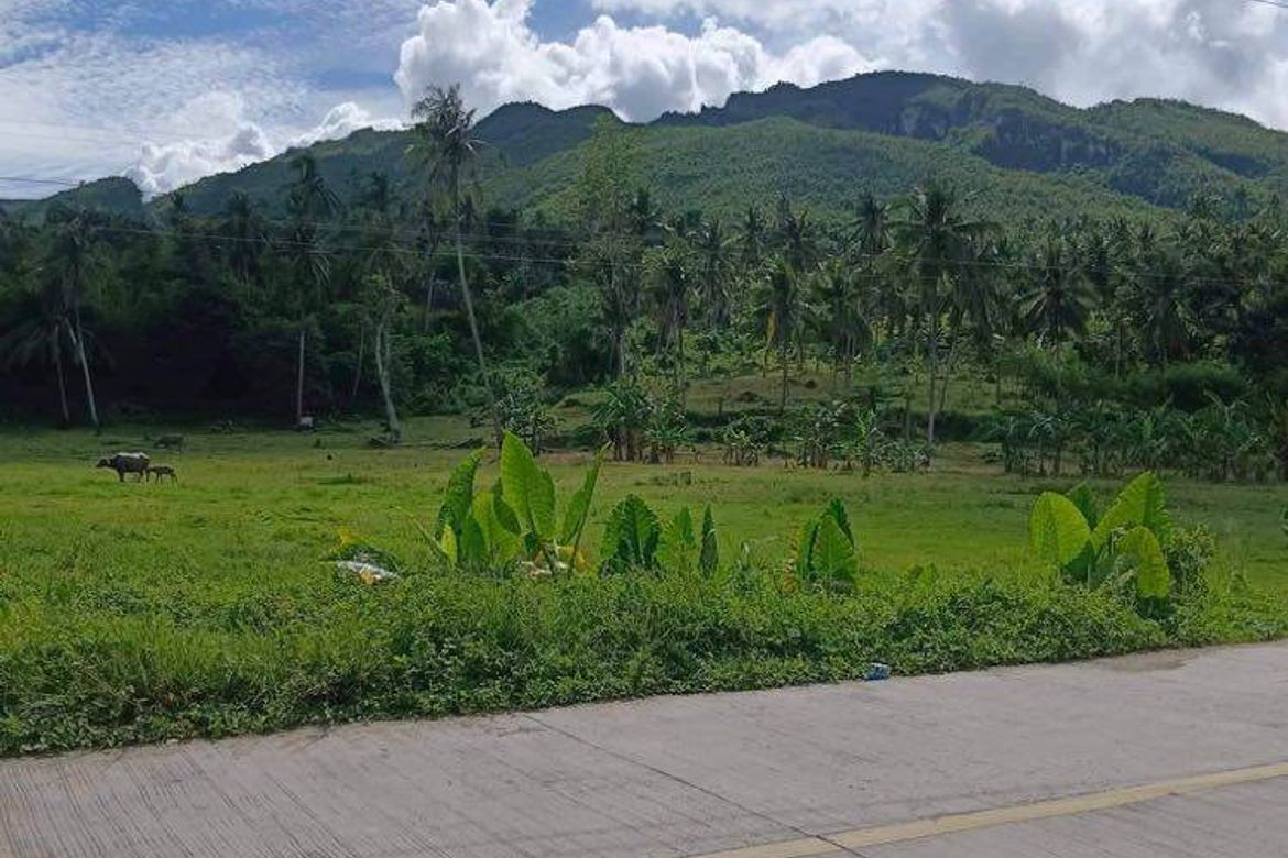 Land for Sale in Kalubihan, Barili, Cebu – photo 7