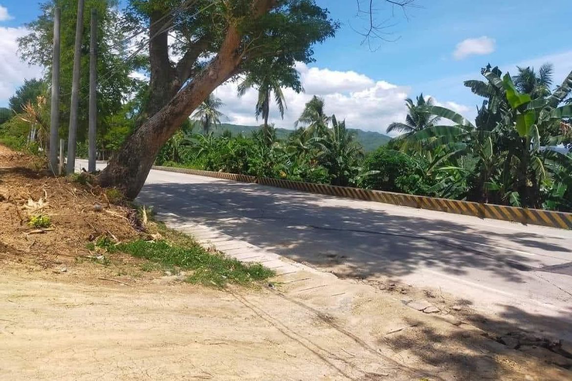 Land for Sale in Kalubihan, Barili, Cebu – photo 5