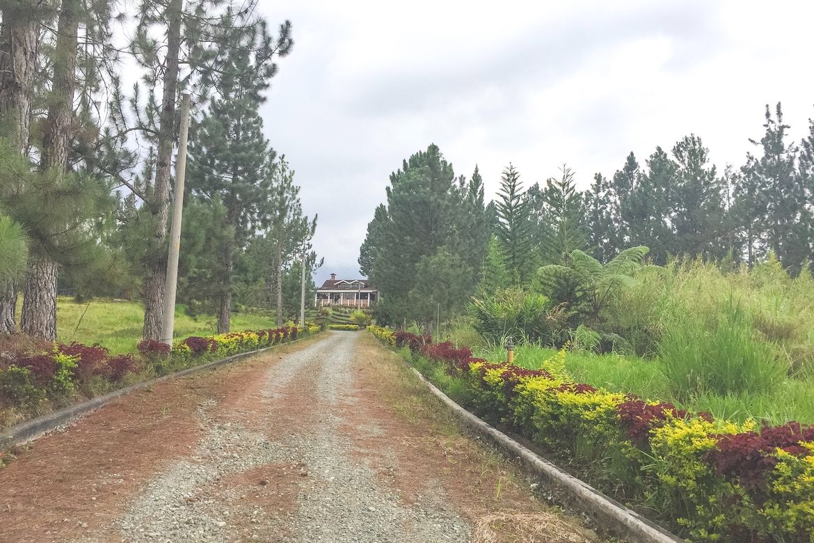 Land for Sale in Kalugmanan, Manolo Fortich, Bukidnon – photo 8