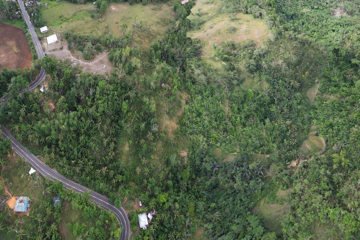 Land for Sale in Kalumboyan, Bayawan, Negros Oriental