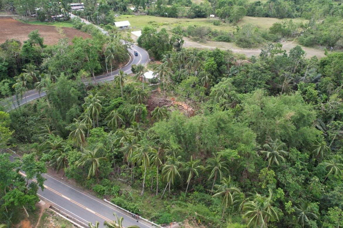 Land for Sale in Kalumboyan, Bayawan, Negros Oriental – photo 2
