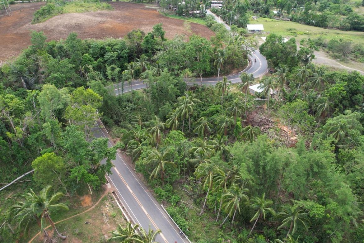 Land for Sale in Kalumboyan, Bayawan, Negros Oriental – photo 3