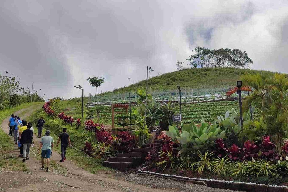 Land for Sale in Kamagayan, Cebu City, Cebu – photo 3