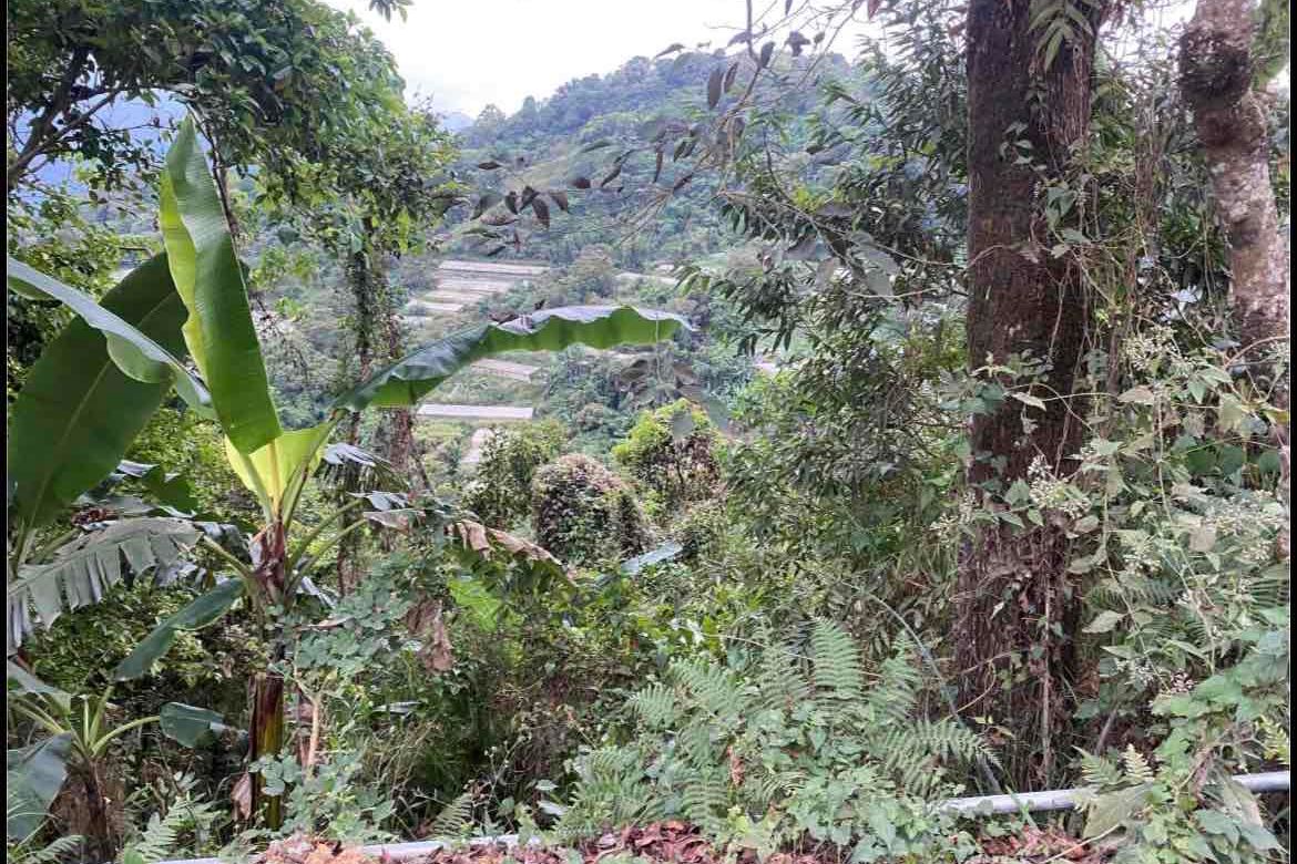 Land for Sale in Kamog, Sablan, Benguet – photo 5