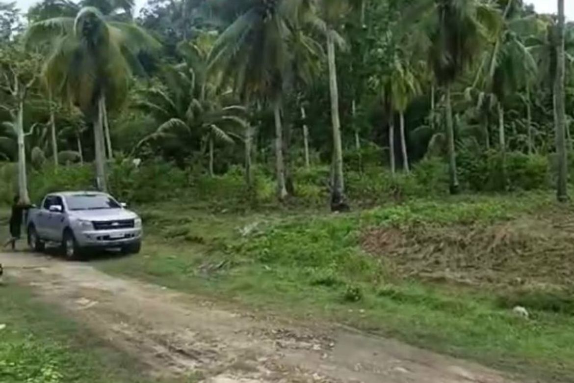 Land for Sale in Kanaan, Samal, Davao del Norte – photo 5