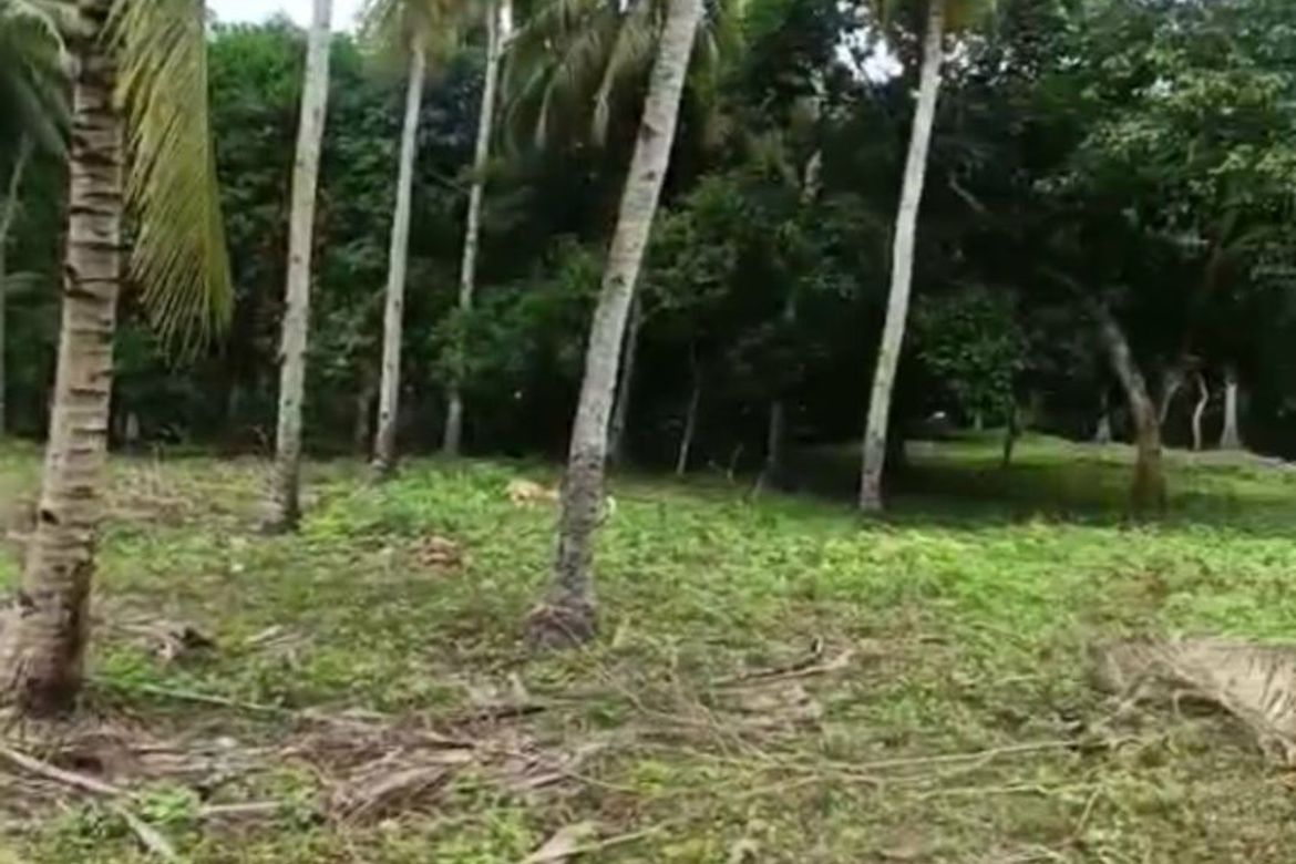 Land for Sale in Kanaan, Samal, Davao del Norte – photo 6