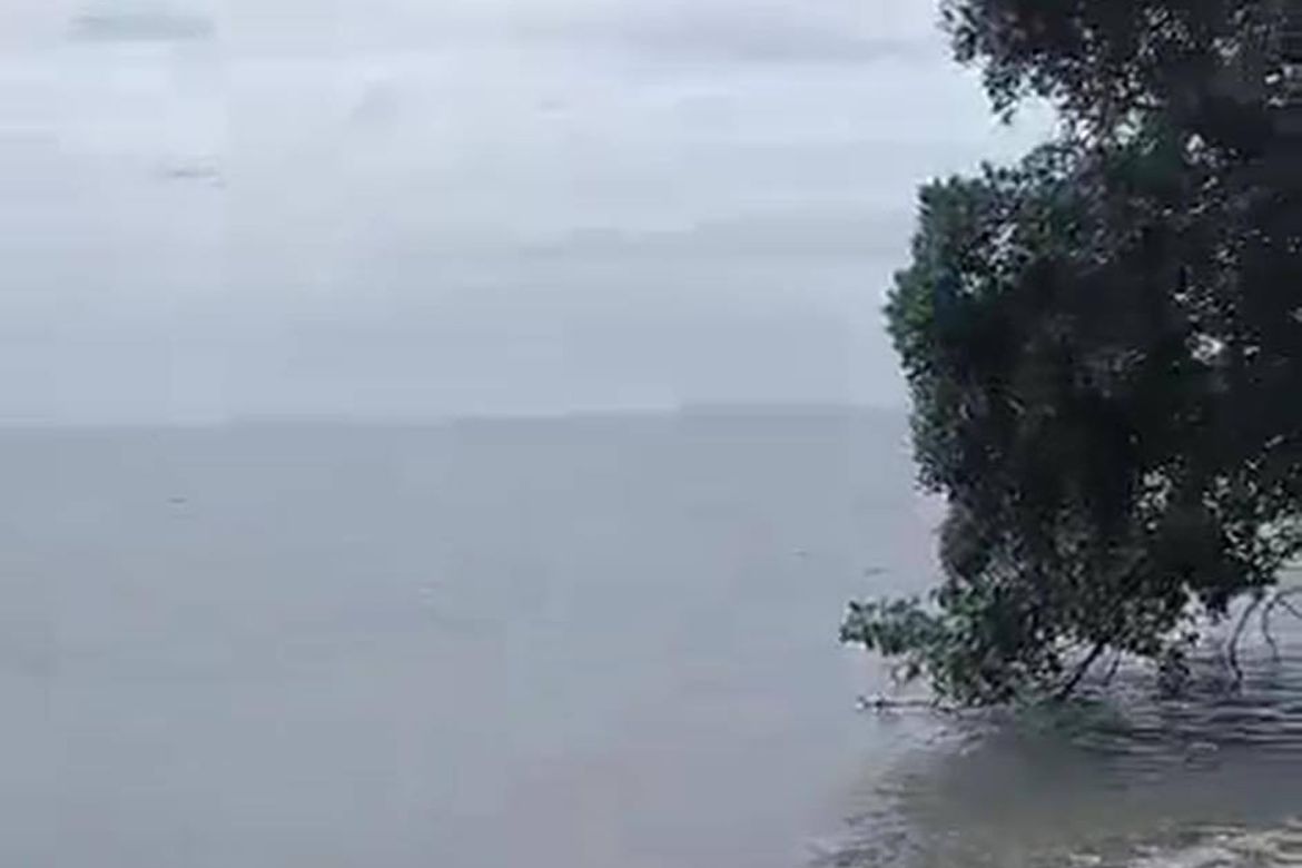 Land for Sale in Kanaan, Samal, Davao del Norte – photo 2