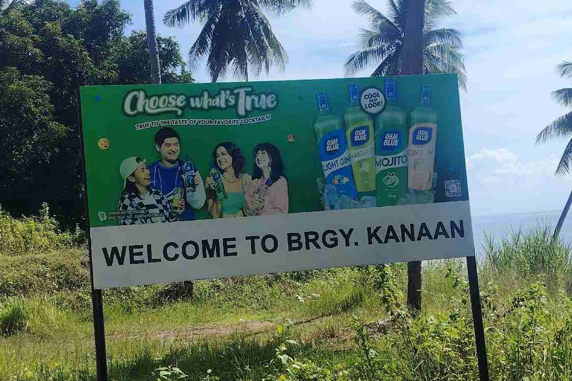 Land for Sale in Kanaan, Samal, Davao del Norte – photo 6