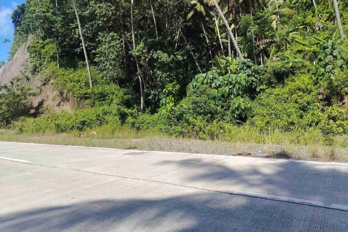 Land for Sale in Kanaan, Samal, Davao del Norte – photo 7