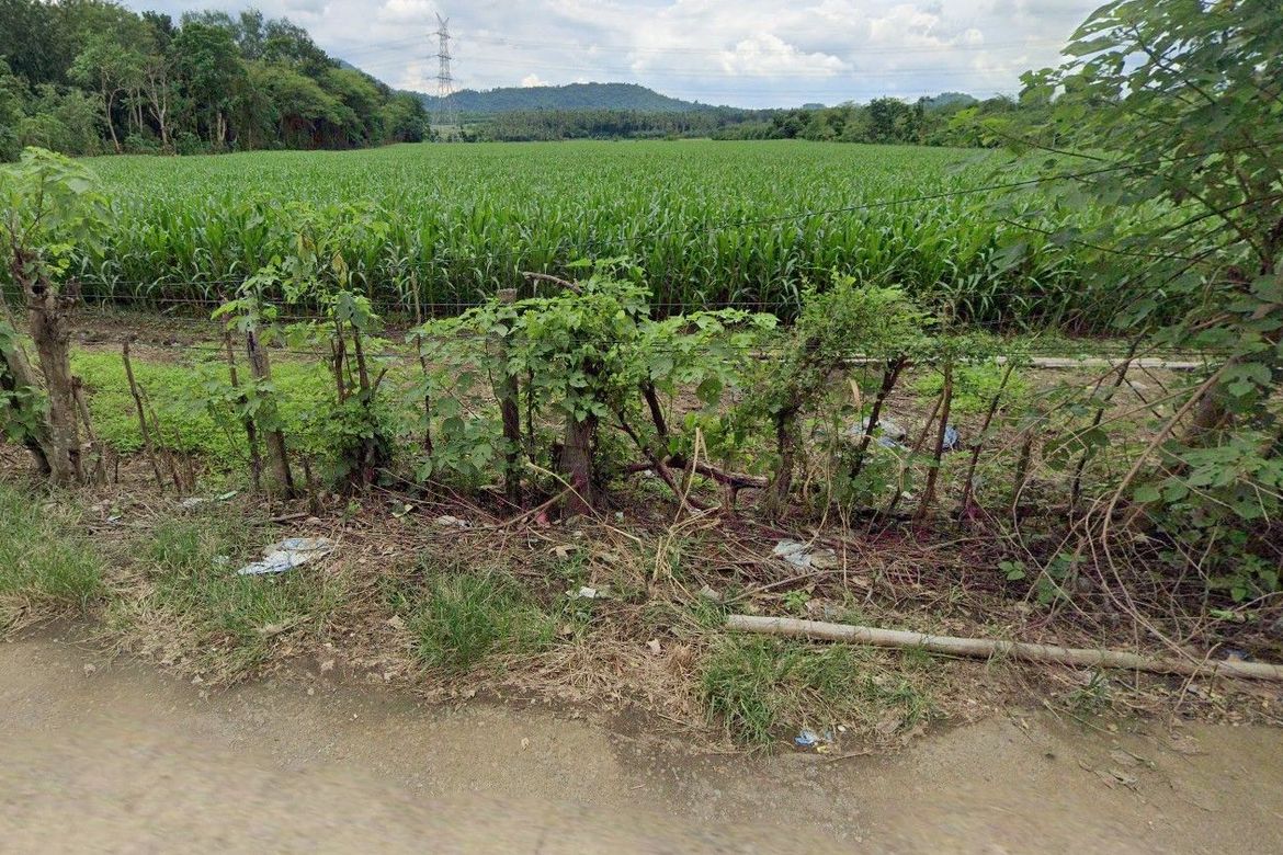 Land for Sale in Kanluran, Calauan, Laguna – photo 5