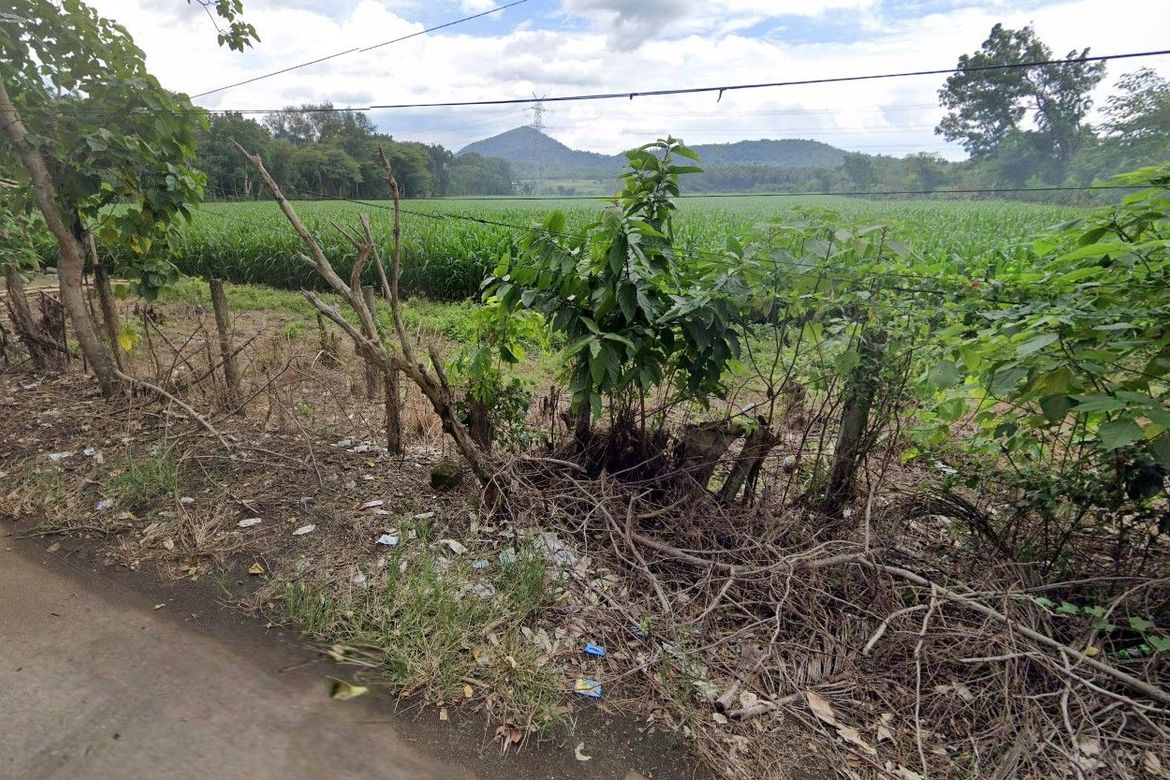 Land for Sale in Kanluran, Calauan, Laguna – photo 7