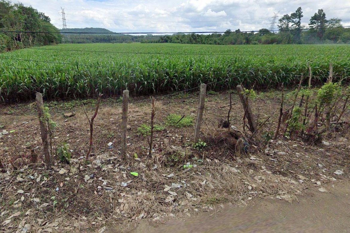 Land for Sale in Kanluran, Calauan, Laguna – photo 8