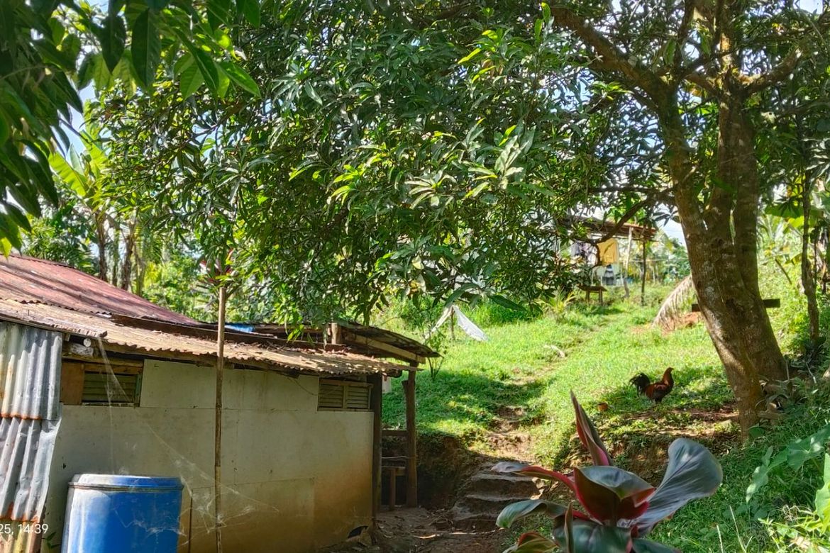 Land for Sale in Kanluran Talaongan, Cavinti, Laguna – photo 5