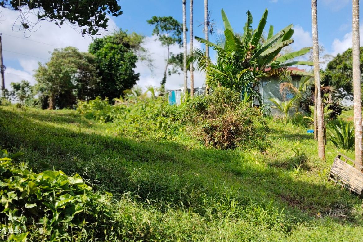Land for Sale in Kanluran Talaongan, Cavinti, Laguna – photo 7