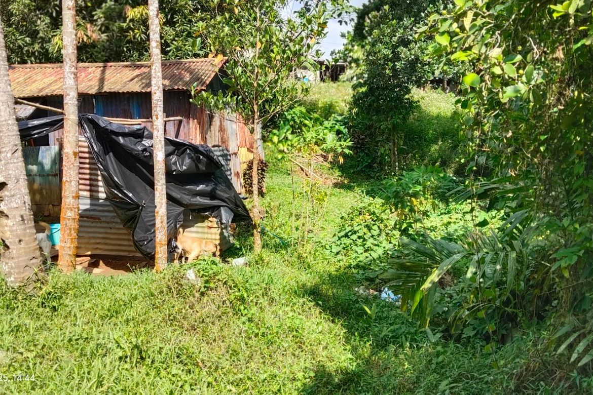 Land for Sale in Kanluran Talaongan, Cavinti, Laguna – photo 8
